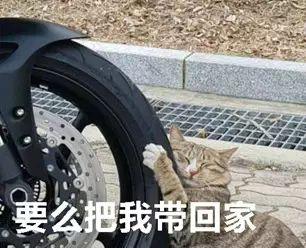整理了一些哄女朋友的表情包