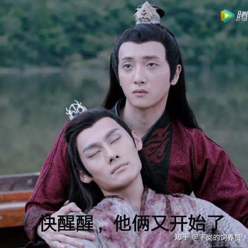 当陈情令男团穿越到现代,最适合做什么工作