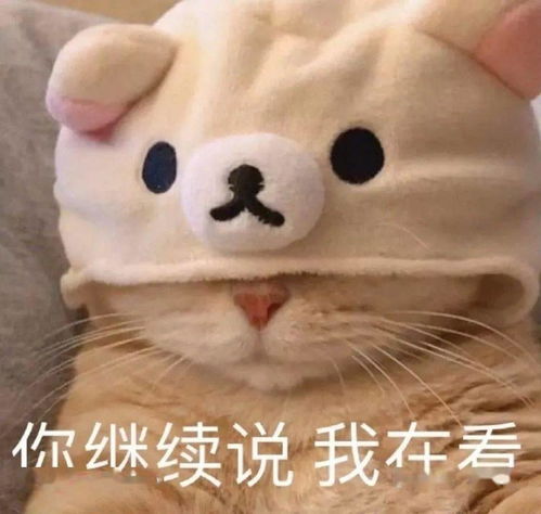高效上网课的一百种方法