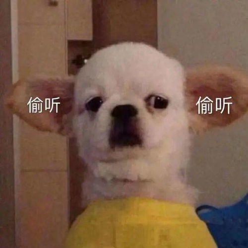 安利舍不得卸载的5款治愈向app