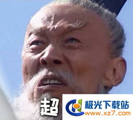 王司徒vs诸葛亮诸葛亮王司徒鬼畜表情包高清无水印极光下载站