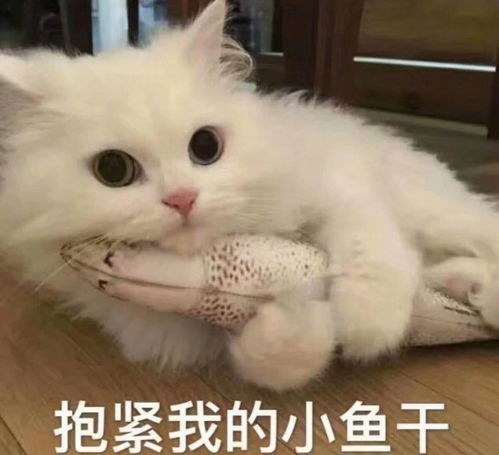 doge表情包微博小黄脸