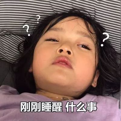 猪事大顺度过假期的n种方式