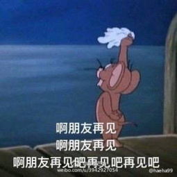 tomandjerry