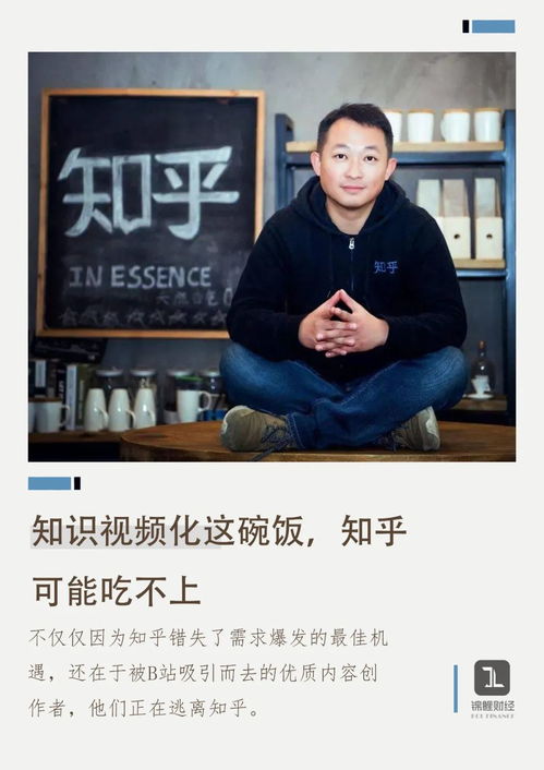 知识视频化这碗饭,知乎可能吃不上