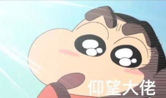 携梦远行实验班考研分享会