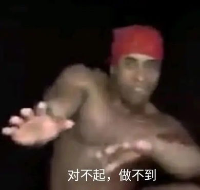 对不起,做不到表情包