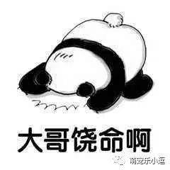 男子把买的兔子放院里,转身进屋去拿东西,回来时多了一活的