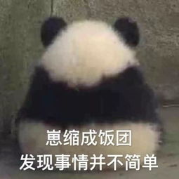 小娜那些年在手机上看的见不得人的东西