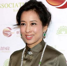 郭晶晶婆婆才是豪门第一50岁风韵犹存再嫁富豪