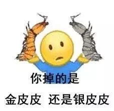 表情包玩得挺溜哈一大波皮皮虾表情包来袭