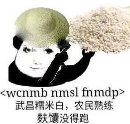 这两张图里的熊猫头表情包原型是谁啊