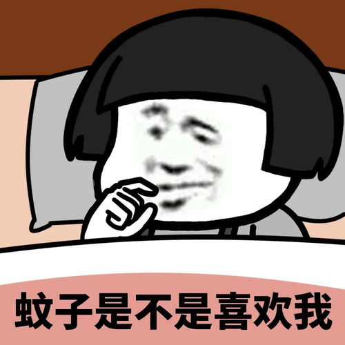 又是被蚊子支配睡眠时间的一天