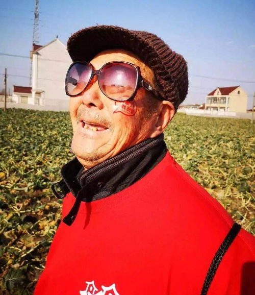 青山依旧在几度夕阳红,来看看四团镇老年人的幸福生活