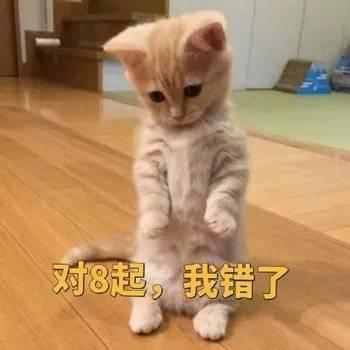 斗图表情包合集不能欺负两百斤的我