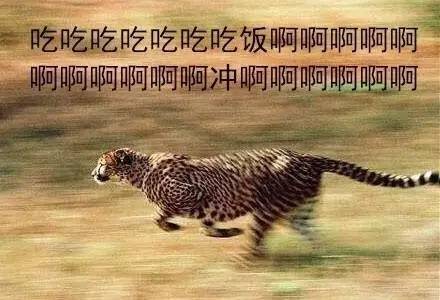 豹毙表情包食堂