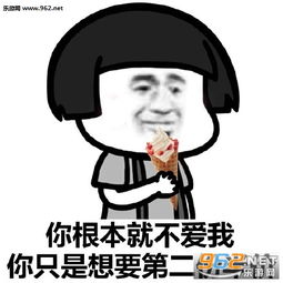 你根本不爱我只是为了xxx表情包你根本不喜欢我你只想要第二份半价表情包下载乐游网游戏下载