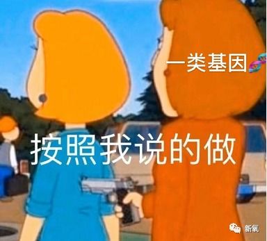 如果给杨子身边的黄圣依们玩连连看,可能会瞎