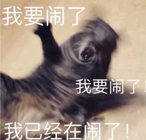 我的收藏