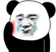 熊猫头表情包i你就是嘴硬欠吻