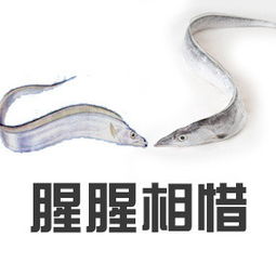 胡可冻带鱼什么梗冻带鱼表情包下载乐游网游戏下载