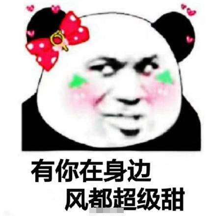 我真是个大笨蛋,除了爱你,我什么都做不好土味情话表情包搜狐搞笑...