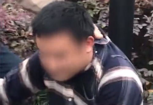 浙江一小区丢失108块井盖,水电工一路狂追小偷,业主发红包感谢