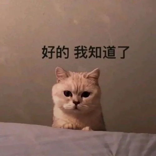 可爱又沙雕的表情包