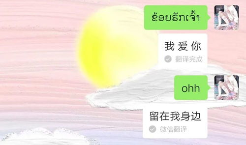 文案抖音超火的微信表白代码暗语翻译
