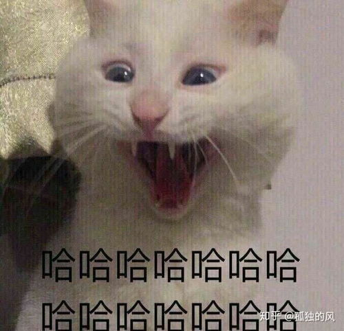 男生喜欢长头发的女生还是短头发的女生