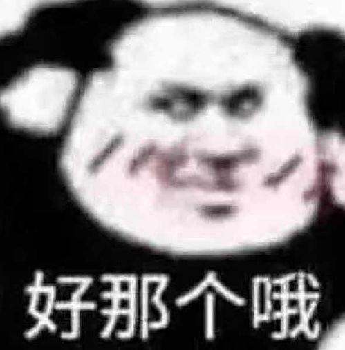 元宋今天太帅了叭