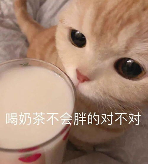 我,戒掉了七情六欲却戒不掉你