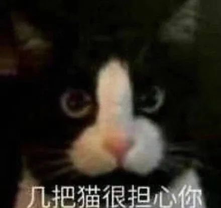 凡尔赛老板暴打股民