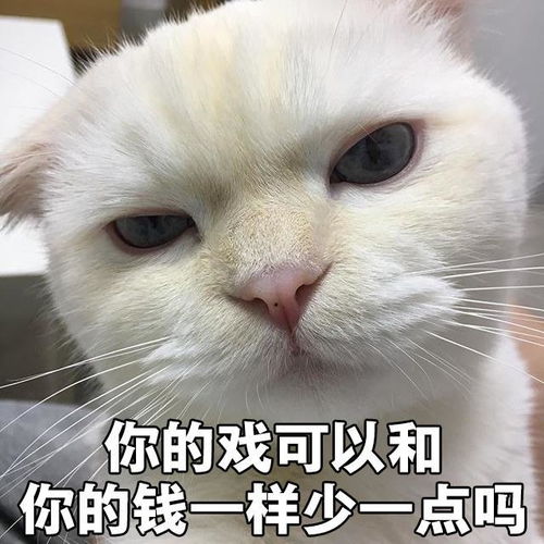 开心一刻笑话天气太热,哥们几个决定找个有水的地方避暑