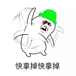 令人痛惜的张柏芝