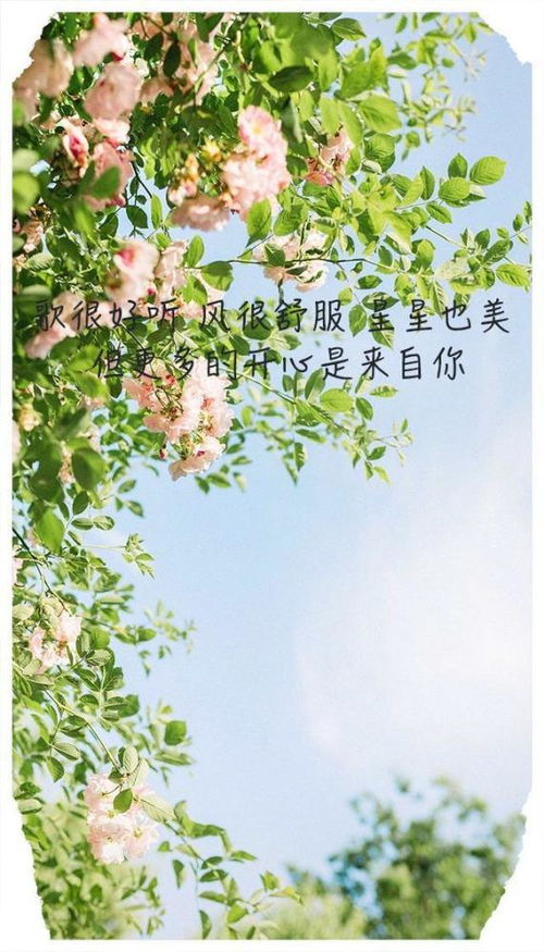 朋友圈很潮很流行的句子,愿世界化为沧海