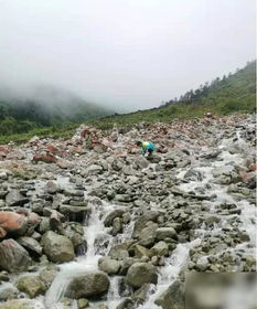 湖北8岁男孩海螺沟景区失踪,熟悉景区地形人士认为此事有疑点
