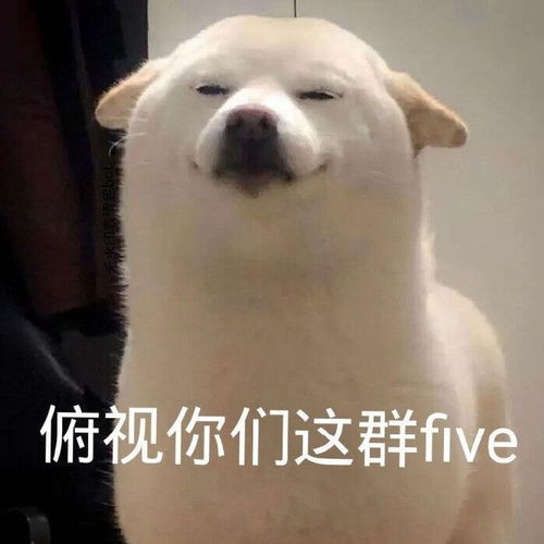求一个无能狂怒的表情包