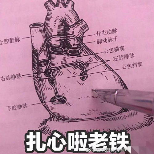 广东各大本科院校毕业五年后的平均月薪排行榜,城院居然排在