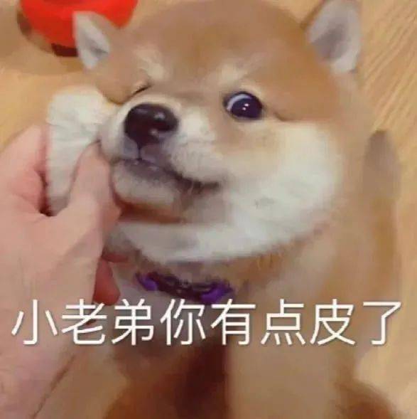 沙雕表情包丨不用问了爱过