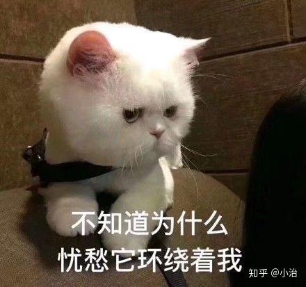 有哪些表情包好先生