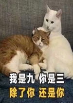 表情包语言搞笑情话