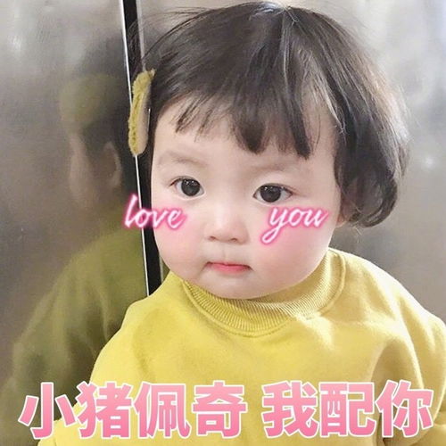 表情分享一组多肉女孩的表情包抱走吧知乎表情