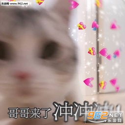 老实点娇喘表情包图片真拿老公没办法表情包下载乐游网游戏下载