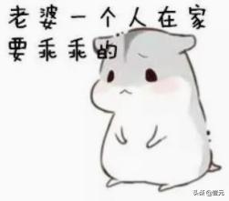 弹琴表情包求生欲