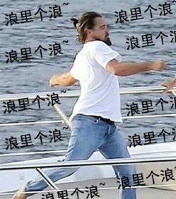 怎么回事一群牛从莘庄跑到九亭来了