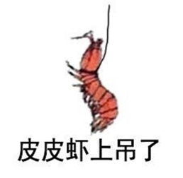 皮皮虾我们走是什么梗皮皮虾我们走是什么意思