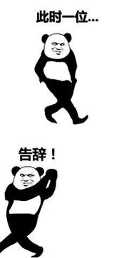 烧火的表情包柴火