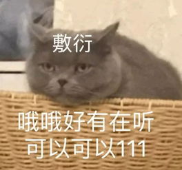 为什么越来越多的人屏蔽朋友圈