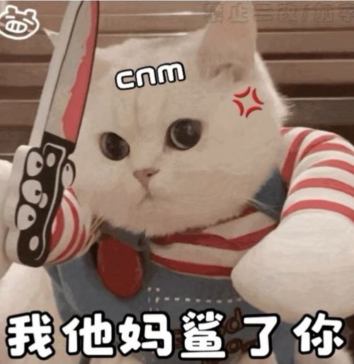 聊天表情包161期